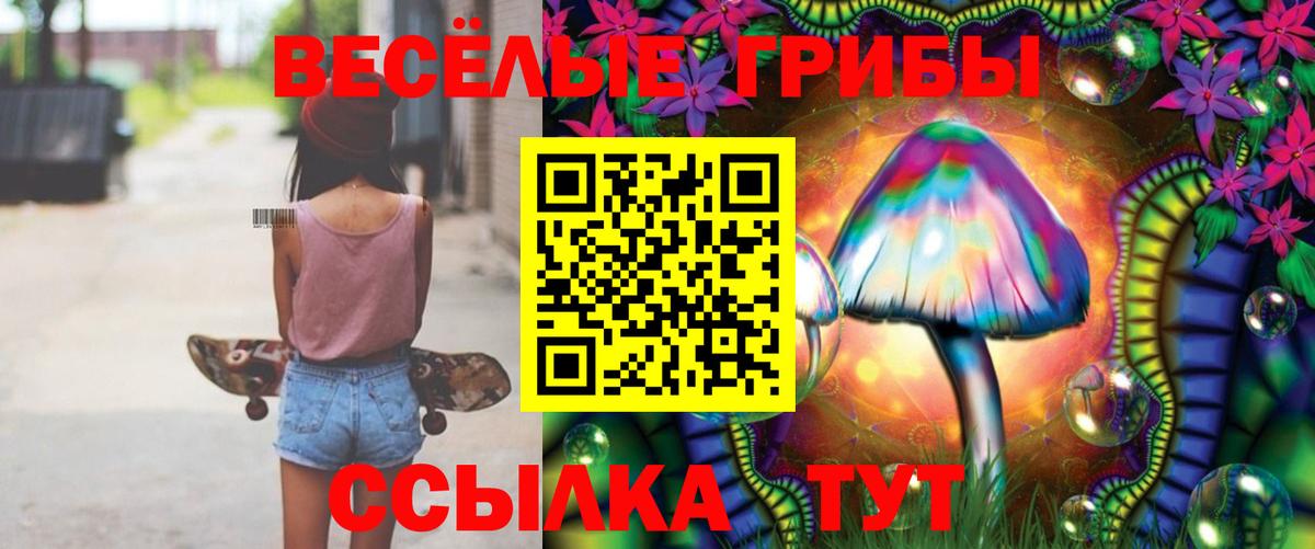Псилоцибиновые грибы Psilocybine cubensis Добрянка