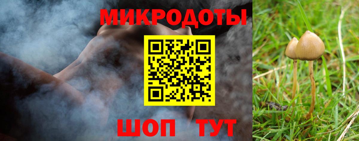 Псилоцибиновые грибы мицелий Добрянка