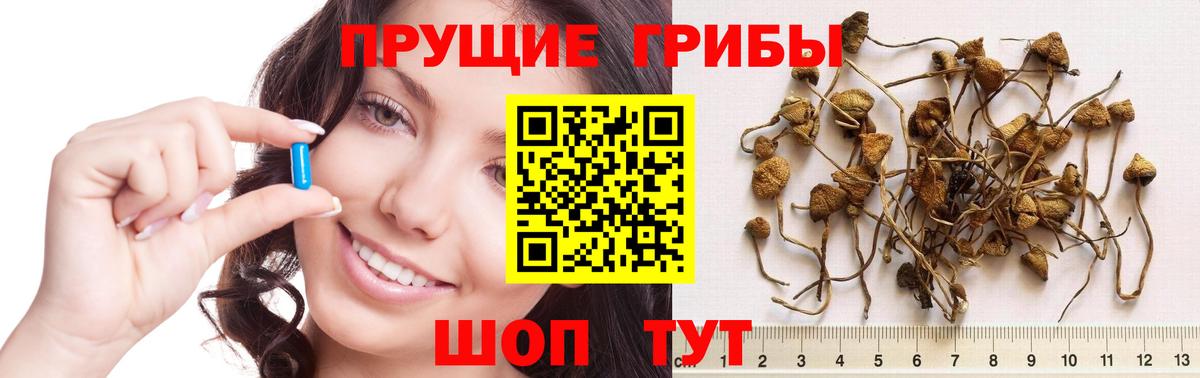 Галлюциногенные грибы MAGIC MUSHROOMS  Псилоцибиновые грибы Magic Shrooms  Вход с VPN  Добрянка 